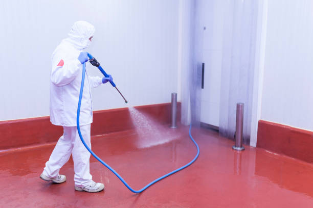 Best Factory Floor Cleaning  in Loudonville, NY