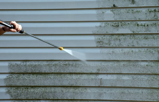 Best Fence Cleaning  in Loudonville, NY